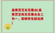 桑黄灵芝无花果水(桑黄灵芝和无花果水合二为一，尝鲜养生新选择)