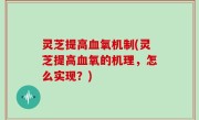 灵芝提高血氧机制(灵芝提高血氧的机理，怎么实现？)