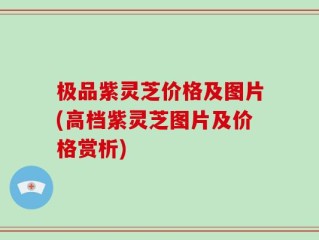 极品紫灵芝价格及图片(高档紫灵芝图片及价格赏析)