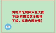 树桩灵芝视频大全大图下载(树桩灵芝全视频下载，高清大图合集)