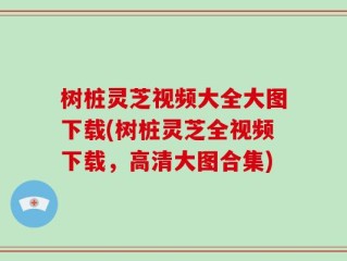 树桩灵芝视频大全大图下载(树桩灵芝全视频下载，高清大图合集)