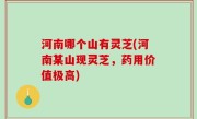 河南哪个山有灵芝(河南某山现灵芝，药用价值极高)