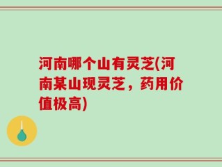 河南哪个山有灵芝(河南某山现灵芝，药用价值极高)