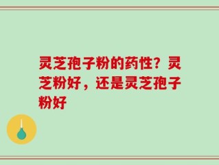 灵芝孢子粉的药性？灵芝粉好，还是灵芝孢子粉好