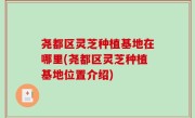 尧都区灵芝种植基地在哪里(尧都区灵芝种植基地位置介绍)