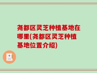 尧都区灵芝种植基地在哪里(尧都区灵芝种植基地位置介绍)