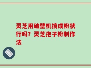 灵芝用破壁机搞成粉状行吗？灵芝孢子粉制作法