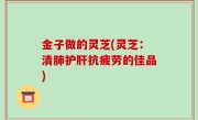 金子做的灵芝(灵芝：清肺护肝抗疲劳的佳品)