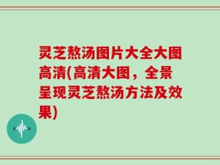 灵芝熬汤图片大全大图高清(高清大图，全景呈现灵芝熬汤方法及效果)
