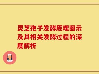 灵芝孢子发酵原理图示及其相关发酵过程的深度解析