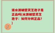 道水源破壁灵芝孢子是正品吗(水源破壁灵芝孢子：如何分辨正品？)
