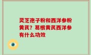 灵芝孢子粉和西洋参粉黄芪？葛根黄芪西洋参有什么功效