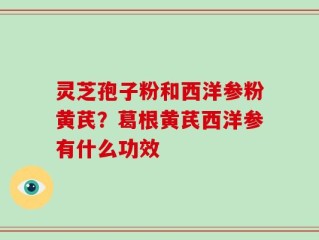 灵芝孢子粉和西洋参粉黄芪？葛根黄芪西洋参有什么功效