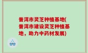 普洱市灵芝种植基地(普洱市建设灵芝种植基地，助力中药材发展)