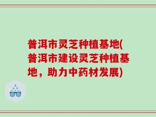 普洱市灵芝种植基地(普洱市建设灵芝种植基地，助力中药材发展)