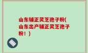山东辅正灵芝孢子粉(山东出产辅正灵芝孢子粉!)