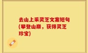 去山上采灵芝文案短句(攀登山巅，获得灵芝珍宝)