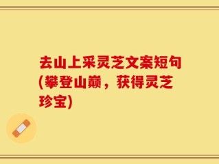 去山上采灵芝文案短句(攀登山巅，获得灵芝珍宝)