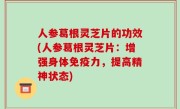 人参葛根灵芝片的功效(人参葛根灵芝片：增强身体免疫力，提高精神状态)