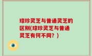 琼珍灵芝与普通灵芝的区别(琼珍灵芝与普通灵芝有何不同？)