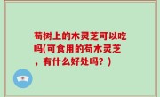 苟树上的木灵芝可以吃吗(可食用的苟木灵芝，有什么好处吗？)