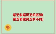 紫芝和紫灵芝的区别(紫芝和紫灵芝的不同)