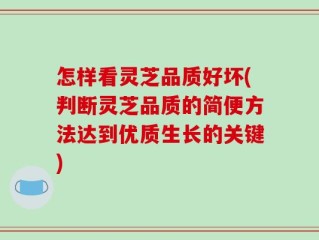怎样看灵芝品质好坏(判断灵芝品质的简便方法达到优质生长的关键)