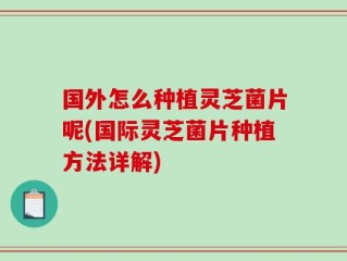 国外怎么种植灵芝菌片呢(国际灵芝菌片种植方法详解)