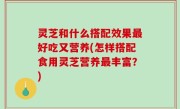 灵芝和什么搭配效果最好吃又营养(怎样搭配食用灵芝营养最丰富？)