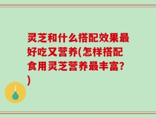 灵芝和什么搭配效果最好吃又营养(怎样搭配食用灵芝营养最丰富？)