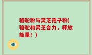 骆驼粉与灵芝孢子粉(骆驼和灵芝合力，释放能量！)