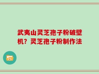 武夷山灵芝孢子粉破壁机？灵芝孢子粉制作法