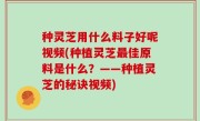 种灵芝用什么料子好呢视频(种植灵芝最佳原料是什么？——种植灵芝的秘诀视频)