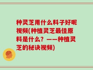 种灵芝用什么料子好呢视频(种植灵芝最佳原料是什么？——种植灵芝的秘诀视频)