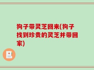 狗子带灵芝回来(狗子找到珍贵的灵芝并带回家)