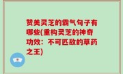赞美灵芝的霸气句子有哪些(重构灵芝的神奇功效：不可匹敌的草药之王)