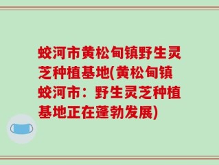 蛟河市黄松甸镇野生灵芝种植基地(黄松甸镇蛟河市：野生灵芝种植基地正在蓬勃发展)