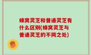 蜂窝灵芝和普通灵芝有什么区别(蜂窝灵芝与普通灵芝的不同之处)