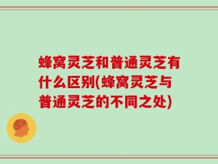 蜂窝灵芝和普通灵芝有什么区别(蜂窝灵芝与普通灵芝的不同之处)