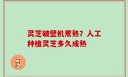 灵芝破壁机煮熟？人工种植灵芝多久成熟