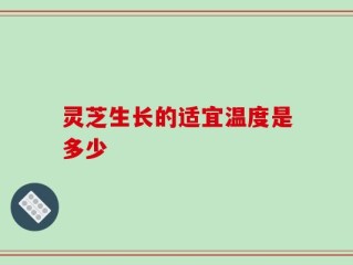 灵芝生长的适宜温度是多少