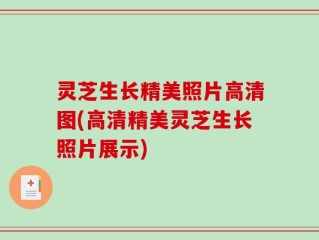 灵芝生长精美照片高清图(高清精美灵芝生长照片展示)