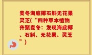 麦冬海底椰石斛无花果灵芝(“四种草本植物齐聚麦冬：发现海底椰、石斛、无花果、灵芝”)