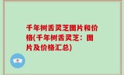 千年树舌灵芝图片和价格(千年树舌灵芝：图片及价格汇总)