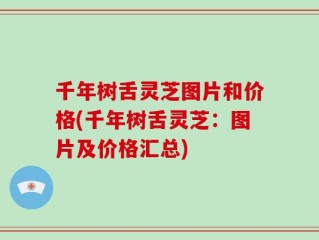 千年树舌灵芝图片和价格(千年树舌灵芝：图片及价格汇总)