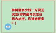 桦树菌多少钱一斤灵芝灵芝(桦树菌与灵芝价格大比拼，你猜谁更贵？)
