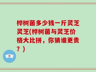 桦树菌多少钱一斤灵芝灵芝(桦树菌与灵芝价格大比拼，你猜谁更贵？)