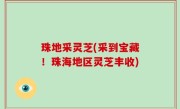 珠地采灵芝(采到宝藏！珠海地区灵芝丰收)