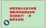 种灵芝用什么架子好呢视频(如何选择适合种灵芝的架子？ - 种植灵芝必知)