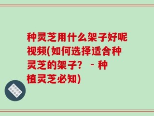 种灵芝用什么架子好呢视频(如何选择适合种灵芝的架子？ - 种植灵芝必知)